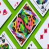 2021 Summer Collection: Jungle Playing Cards by CardCutz view 1
