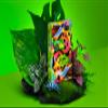 2021 Summer Collection: Jungle Playing Cards by CardCutz view 2
