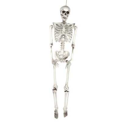 Alvinlite Halloween Skeletons Posable Halloween Decoration Full Body Skeletons Props Skull Decor for Halloween Party House Costume(L)