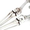 Alvinlite Halloween Skeletons Posable Halloween Decoration Full Body Skeletons Props Skull Decor for Halloween Party House Costume(L) view 3