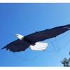 Revolution Kites 3D Eagle Quad-Line Stunt Wing 8 ft (Novices to Pros) - Ultralight Carbon Fiber Design - Launch from Anywhere - Precision Control for Soaring and Tricks - Includes Club 38 Membership view 4