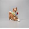 Lana Toys WLNTDOLA 1:6 Scale Shiba Inu Dog Pet Healing Figure Realistic Animal Model view 3