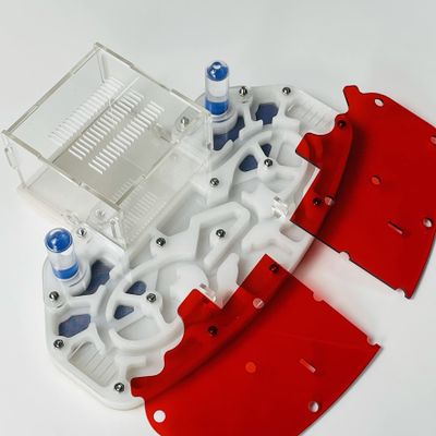 Large Size 24 * 18cm Arylic ANT NEST, ANT Farm, ANT Habitat, FORMICARIUM with Built-in Arena Platform (White)
