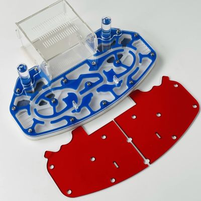 ANT GRAPE Large Size 24 * 18cm Acrylic Ant Farm with Built-in Arena Platform (Blue)