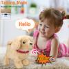 Koonie Talking Plush Golden Retriever Toy Repeats What You Say, Barks and Walks - Electronic Interactive Stuffed Puppy for Kids view 3