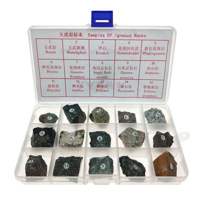 Almencla 15pcs Igneous Teaching Aid Supplies W/Box Ages 8 Up
