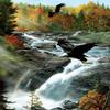 SUNSOUT INC - Gooseberry Falls - 1000 pc Jigsaw Puzzle by Artist: Kevin Daniel - Finished Size 20" x 27" - MPN# 57724 view 3