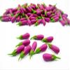 100 Loose Purple Eggplant Dollhouse Miniatures Food Vegetables Wholesale 15938 view 2