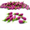 100 Loose Purple Eggplant Dollhouse Miniatures Food Vegetables Wholesale 15938 view 3