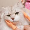 AQKILO Tiny Hands Finger Puppets Set, 4 Pairs of Left and Right Hands, Mini Novelty Toys for TikTok, Skits, Gag Gifts, and Classroom Fun view 4