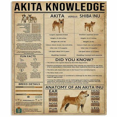 1000 Piece Wood Puzzles Akita Knowledge?Gift for Dog Lover Un Wall Dcor Jigsaw Puzzles Development Toys Games Toys Gift