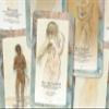 Ibiza Tarot Feminine Power Tarot| Fortune Telling Tarot Cards Deck for Beginners |Authentic Tarot Experience - Set of 22 Arcana Cards view 3