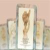 Ibiza Tarot Feminine Power Tarot| Fortune Telling Tarot Cards Deck for Beginners |Authentic Tarot Experience - Set of 22 Arcana Cards view 4