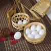 10pcs Solid Parrot Plastic Fake Eggs Realistic, Simulated Fake Bird Eggs for Hatching, Mini Macaw Cockatoo African Grey Eclectus, Trick Birds to Stop Laying Eggs37mm*27mm view 3