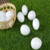 10pcs Solid Parrot Plastic Fake Eggs Realistic, Simulated Fake Bird Eggs for Hatching, Mini Macaw Cockatoo African Grey Eclectus, Trick Birds to Stop Laying Eggs37mm*27mm view 4