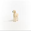 Schleich Farm World Goldendoodle Dog Figurine - Highly Detailed and Durable Animal Toy, Fun and Educational Play for Boys and Girls, Gift for Kids Ages 3+ view 2