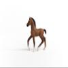 Schleich Horse Club, Realistic Horse Toy Figures for Girls and Boys, Oldenburg Foal Baby Horse Figurine, Ages 5+ view 2