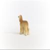 Schleich Farm World, Cute and Realistic Dog Toy Animals For Boys and Girls, Afghan Hound Dog Figurine, Ages 3+ view 4