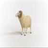 Schleich Farm World, Realistic Farm Animal Toys for Boys and Girls Ages 3 and Above, Ram Toy Figurine view 2