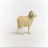 Schleich Farm World, Realistic Farm Animal Toys for Boys and Girls Ages 3 and Above, Ram Toy Figurine view 4