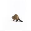 Schleich Wild Life, North American Woodland Wild Animal Toys for Kids, Beaver Toy Figurine, Ages 3+ view 3