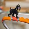 Schleich Wild Life Realistic Mandrill Monkey Figurine - Authentic and Highly Detailed Wild Animal Toy, Durable for Education and Fun Play for Kids, Perfect for Boys and Girls, Ages 3+ view 2
