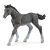 Schleich Horse Club, Realistic Horse Toys for Girls and Boys, Baby Trakehner Foal Toy Figurine, Ages 5+ view 1