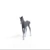 Schleich Horse Club, Realistic Horse Toys for Girls and Boys, Baby Trakehner Foal Toy Figurine, Ages 5+ view 3