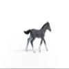 Schleich Horse Club, Realistic Horse Toys for Girls and Boys, Baby Trakehner Foal Toy Figurine, Ages 5+ view 4