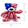 Aeisage USA Bear American National Flag Stuffed Toy Plush Animal Bears 8 Inch Souvenir Gifts for Kids view 2