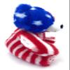 Aeisage USA Bear American National Flag Stuffed Toy Plush Animal Bears 8 Inch Souvenir Gifts for Kids view 3