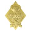 Power Rangers Limited Edition 24k Gold Plated Medallion view 2