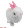 NOVELTY GIANT WWW.NOVELTYGIANT.COM 2 Wind Up Hopping Bunny Easter Egg White Baby Bunny view 3