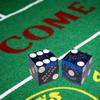 Cyber-Deals Authentic Nevada Casino Table-Played 19mm Matching Serial Numbers Craps Dice (Sets 2, 3, 4 or 5) with Black Velvet Pouch (Set of 5 (Full Stick), Palace Station (Blue Polished)) view 3