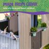 Jack & June Cedar Wood Playhouse with Built-in Countertop and Sliding Barn Door  Adorable, Durable, and Perfect for Imaginative Play  Ideal for Kids of All Ages! view 4
