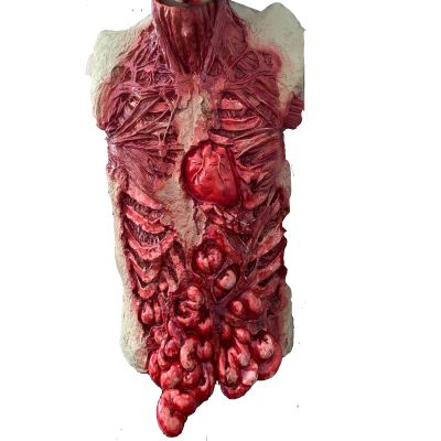 HAO Scary Halloween Bloody Intestine,Creepy Bloody Bandage Guaze with Intestine Fake Dead Body Bloody Part Trick Props for Halloween Party Bar Haunted House Cosplay