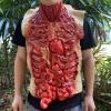 HAO Scary Halloween Bloody Intestine,Creepy Bloody Bandage Guaze with Intestine Fake Dead Body Bloody Part Trick Props for Halloween Party Bar Haunted House Cosplay view 4