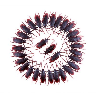 200 PCS Fake Roaches Toys, Realistic Cockroach Prank Roach Plastic Cockroach Disgusting Insect Bug Trick Toy Prop for Christmas Halloween Easter Fools' Day Party Favor