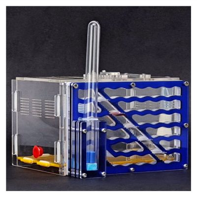 Ant Farm DIY Acryl Ant Farm Pet Anthill Nests Villa Castle Ant Nest with Moisturizing Water Tower 5 Layers Ant Workshop Pet Mania House