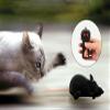 Gawertoy Remote Control Rat Toy, Wireless Remote Control Mouse Toy Fake RC Rat Toy Giant Realistic Rat Model Prank Joke Tricky Toy for Halloween Christmas Birthday Gift Cat Dog Toy Black view 2