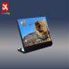 DK DISPLAYKING Acrylic Display Plaque for Colosseum 10276 (Model Set is not Included) view 2