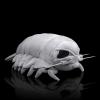 ZHONGXIN MADE Isopod Plush - Lifelike 12 Isopod Stuffed Animal, Realistic Bathynomus Giganteus Arthropod Insect Plushie, Soft Crustaceans Animals Toys Model Dolls Gifts for Kids view 1