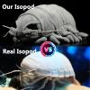 ZHONGXIN MADE Isopod Plush - Lifelike 12 Isopod Stuffed Animal, Realistic Bathynomus Giganteus Arthropod Insect Plushie, Soft Crustaceans Animals Toys Model Dolls Gifts for Kids view 2
