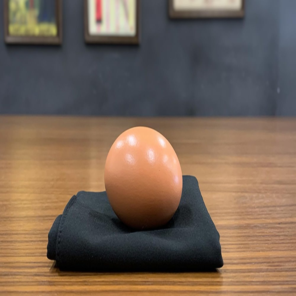 Egg Bag by Bacon Magic - Trick