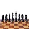 The Chess Empire- Henri Chavet Series B210 Reproduction Chess Pieces Boxwood & Ebony Wood 3.625" Weighted Wood Chess Set Pieces only view 4