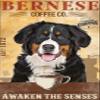 1000 Pieces Wooden Puzzles Bernese Mountain Dog Coffee Jigsaw Puzzles for Adults and Kids Development Toys Games Toys Gift view 1