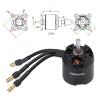 Brushless Motor for RC Airplane Fixed Wing, Precision Balanced Rotor for SurpassHobby C2836 880KV Motor view 4