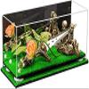 Better Display Cases Versatile Clear Acrylic Trucks, Trains and Rockets Display Case - Large Rectangle Box with Mirror Case, White Risers and Turf Base 19.25" x 8.25" x 8" (V47/A103) view 1