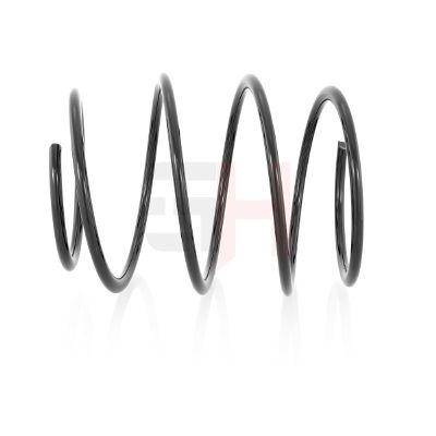 2xx GH Suspension Spring Front, Right, Front Left