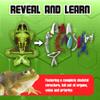Dissect-It Upgraded Frog Dissection Toy Kit, Lab Experience Simulation Toys, STEM Toys for Animal Science, Anatomy, and Home Learning view 4